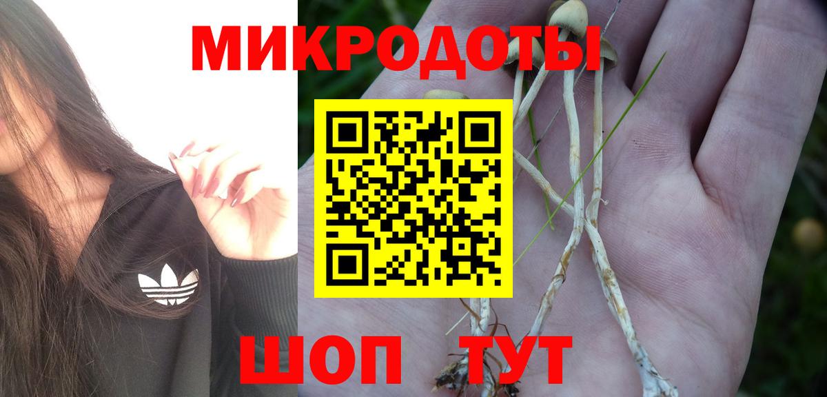 Галлюциногенные грибы GOLDEN TEACHER Избербаш