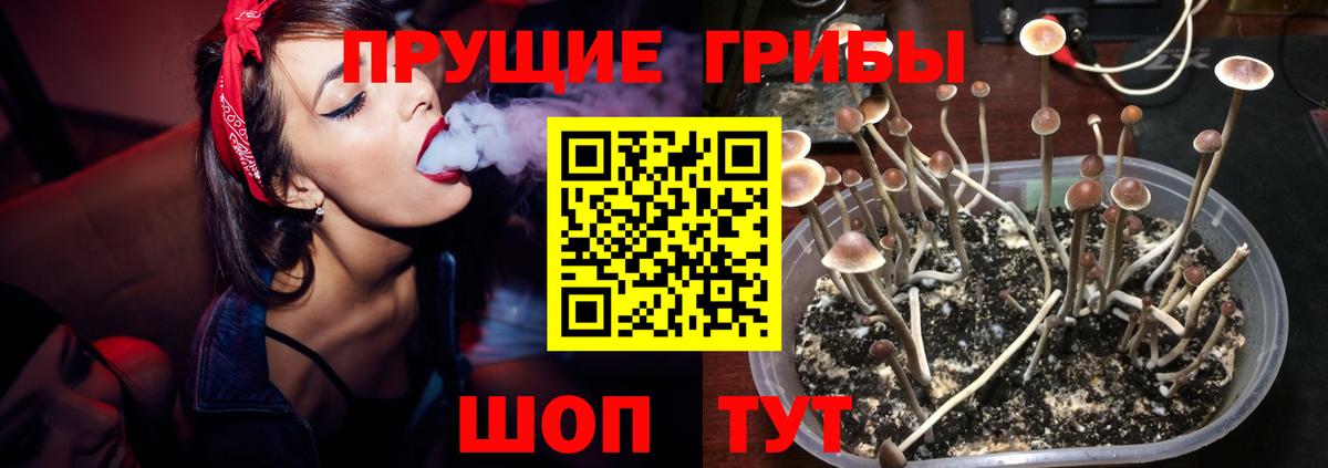 сколько стоит  Псилоцибиновые грибы Psilocybe  Вход с VPN  Галлюциногенные грибы Psilocybine cubensis  Избербаш 